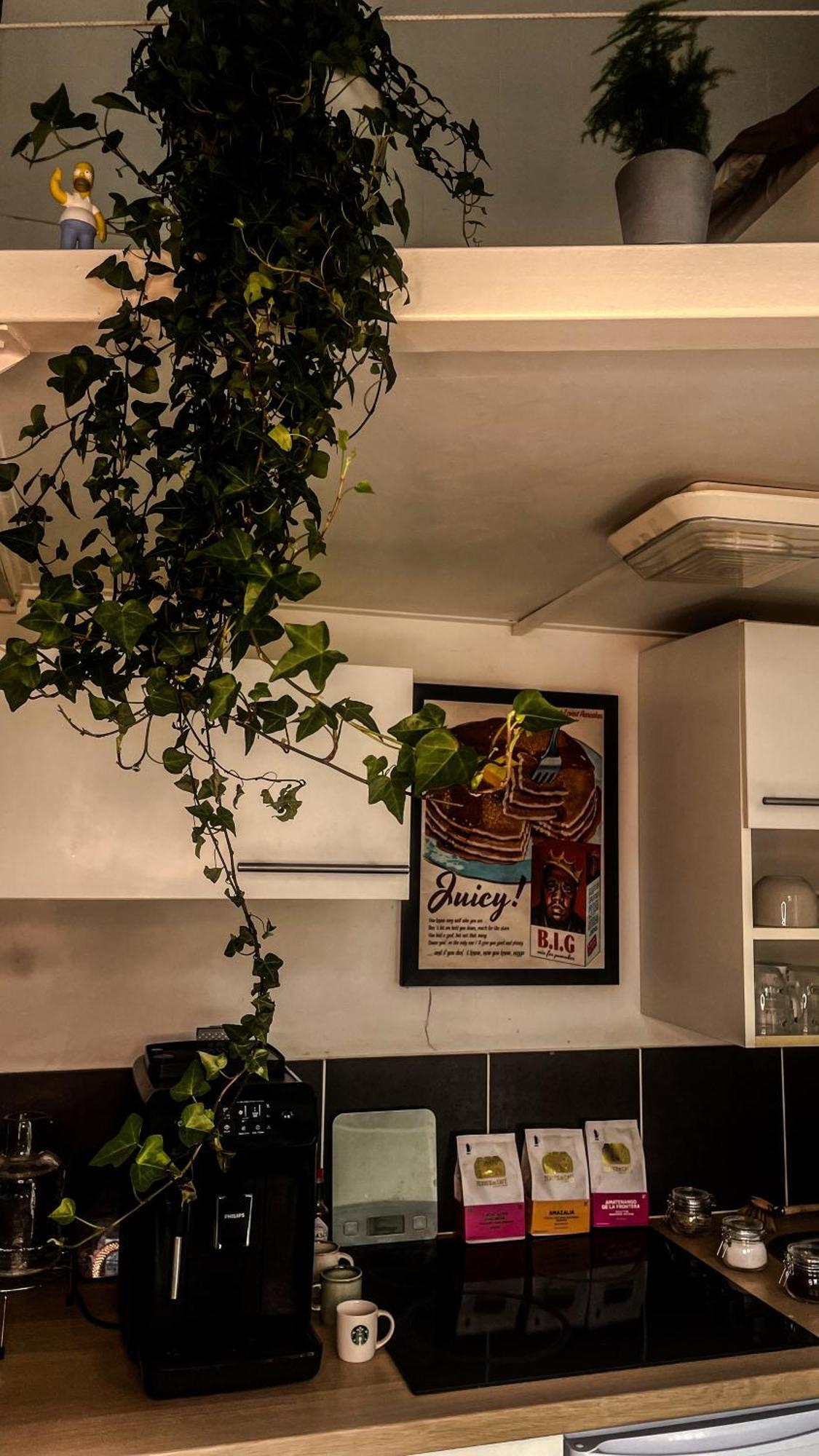 Etablissement Fermee Appartement *
