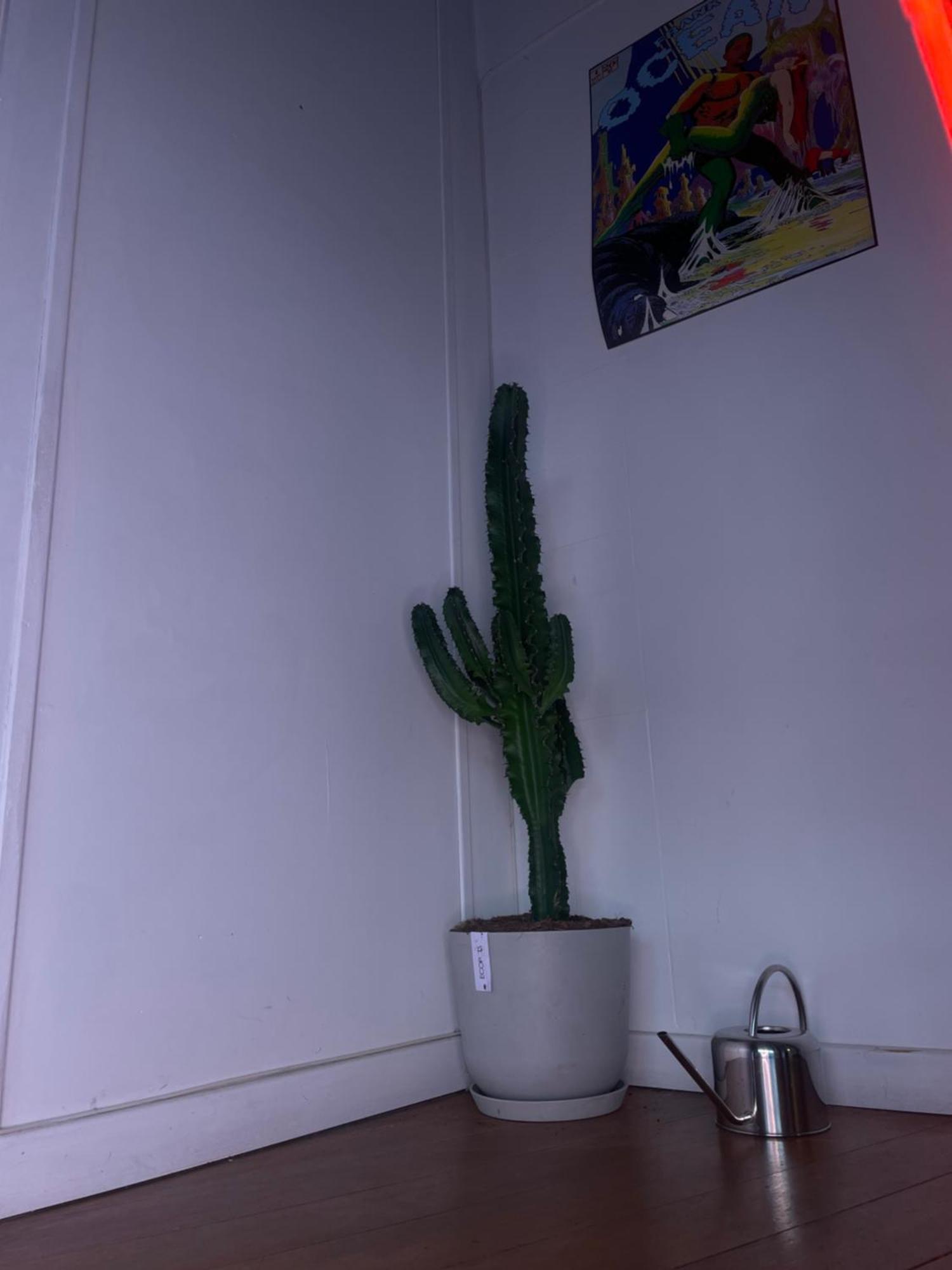 Appartement Etablissement Fermee